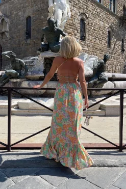 Dresses | SABO Backless Zhara Dress