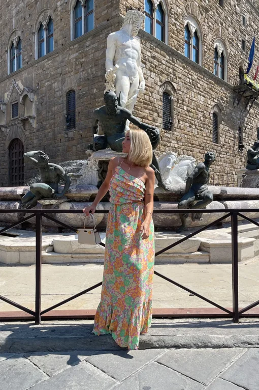 Dresses | SABO Backless Zhara Dress