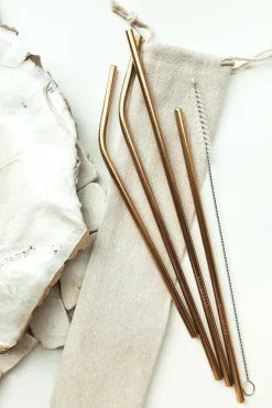 Eco | SABO Eco Straw Set-Gold